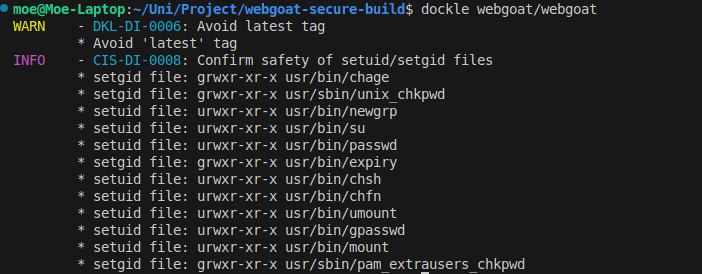 الشكل 2 - لقطة شاشة لنتيجة Dockle لـ webgoat/webgoat